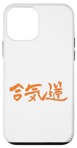 Hülle für iPhone 12 mini Aikido (Japanisch) Kanji Tusche Schrift von Chinesische & Japanische Vintage Schriftzeichen