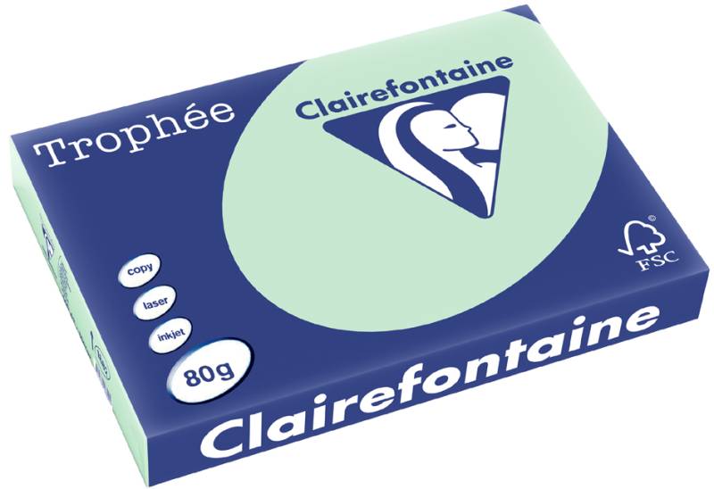 Clairefontaine Multifunktionspapier Trophée, A3, grau von Clairefontaine