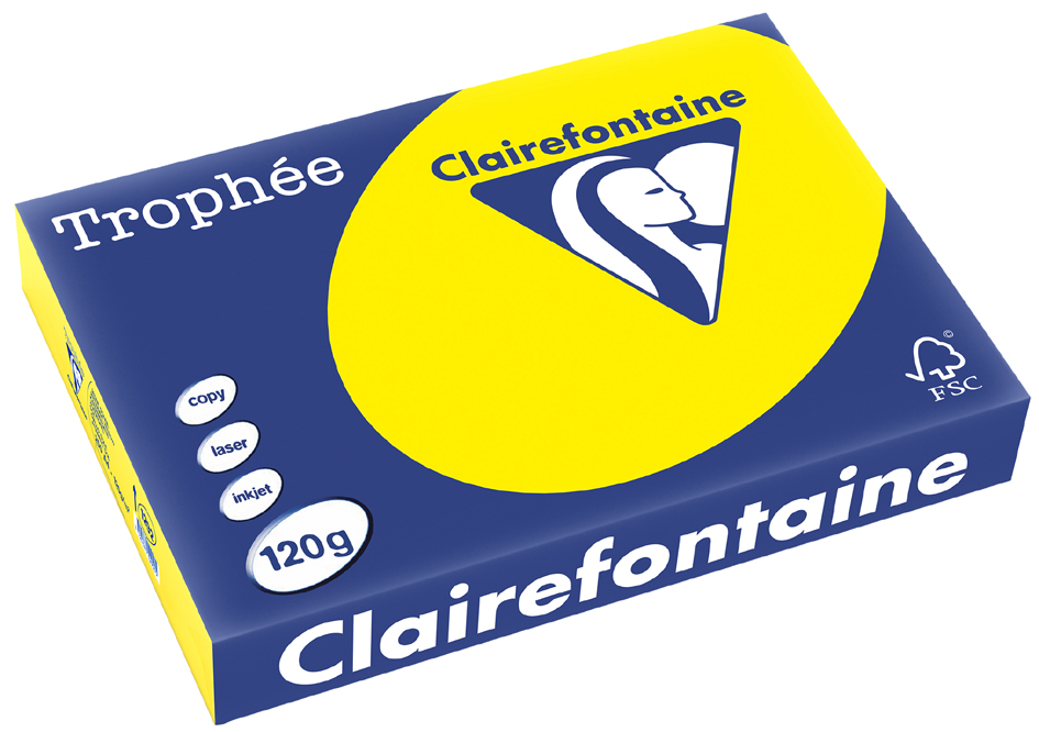 Clairefontaine Multifunktionspapier Trophée, A4, rosa von Clairefontaine