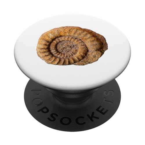 Ammonitfossilien Geologe Paläontologe Paläontologie PopSockets Klebender PopGrip von Clever Witty Ammonite Designs