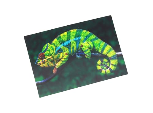 3 D Ansichtskarte Chamäleon, Postkarte Wackelkarte Hologrammkarte Tier Echse von Cornelissen