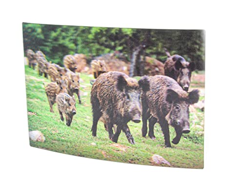 Cornelissen 3 D Ansichtskarte Frischling, Postkarte Wackelkarte Hologrammkarte Tier Wildschwein von Cornelissen