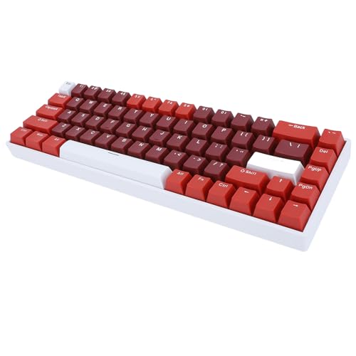 Cuifati Mechanische Tastatur mit 68 Tasten, RGB-Rotschalter-Hintergrundbeleuchtung, 2,4 G, Kabellos, Typ C, für 10, von Cuifati