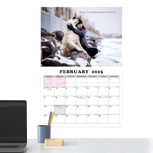 Cushangty Hundekalender 2025,2025 Hundekalender - Süßer Hunde-Wandkalender 11x8 Zoll - Niedlicher Hunde-Wandkalender, kreativer Familienkalender für Kinder, Teenager, Hundeliebhaber, Heimschule, von Cushangty