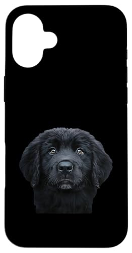 Hülle für iPhone 16 Plus Neufundländer Welpe von Cute Puppy Dog Design