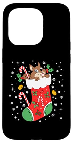 Hülle für iPhone 15 Pro Lustiger Eichhörnchen-Strumpf Weihnachtsbeleuchtung Eichhörnchen Weihnachten von Cute Squirrels Christmas Stocking Design