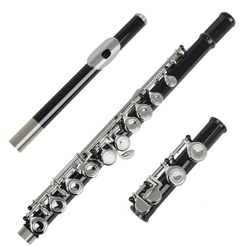 Querflöte Anfänger 16 Closed Open Hole C Key Flute Professional Transverse Flute With E Key Woodwind Instrument Beginner Leather Box(Black) von DABAUR