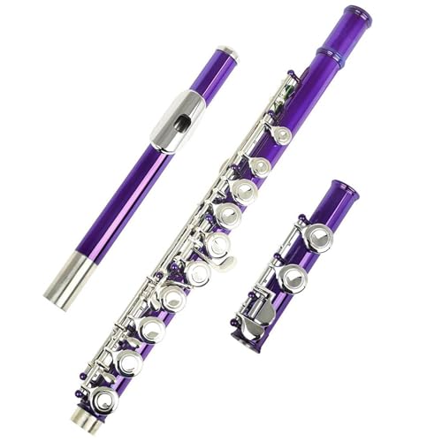 Querflöte Anfänger 16 Geschlossene Offene Löcher C-Taste Professionelles Querflöten-Konzertmusikinstrument Mit Box-Tuch-Stick-Handschuhen(Purple) von DABAUR