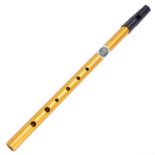 Tin Penny Whistle Flöte CD Key Irland 6-Loch-Instrument mit melodischem Klang (Gold C Key) von DAZZLEEX