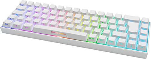 DELTACO GAMING WK95R – Mechanische Gaming Tastatur (Kabellos, RGB Beleuchtung, 65%, Deutsches Layout QWERTZ, Front Lasering) – Weiß von DELTACO GAMING