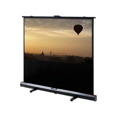 DELUXX Advanced Portable Self-Stand tragbare Stativ-Leinwand mit Scherengelenk Mobile Heimkino- und Business-Beamer-Leinwand Mattweiß Polaro - 4:3-142x107 cm - 70 Zoll von DELUXX