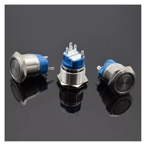 22mm Waterproof Latching/reset Steel Metal Lamp LED Light Horn Power Push Button Switch Car Auto Engine Start 5/12/24/110V 220V DERYLFGND(Blue Self-lock,12V) von DERYLFGND