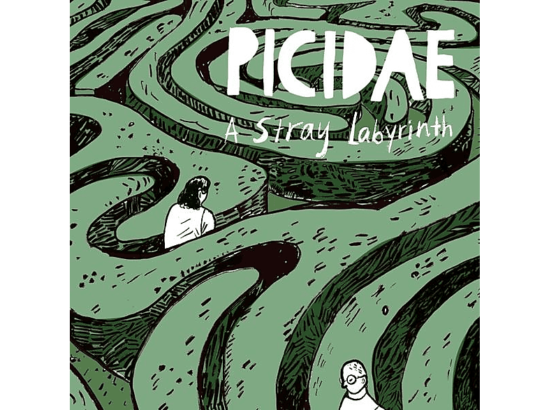 Picidae - A Stray Labyrinth (CD) von DIGER