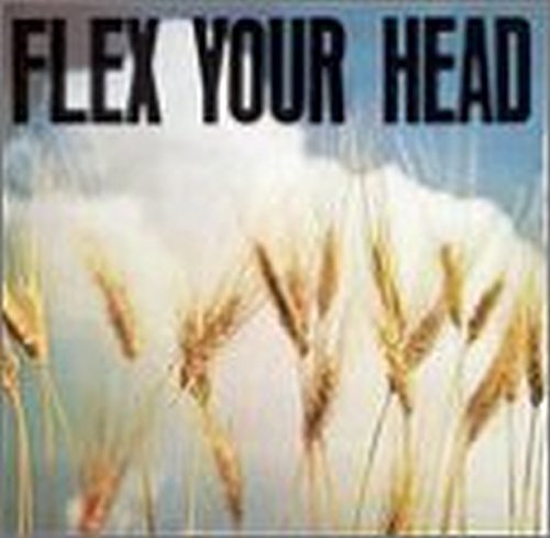 Flex Your Head-a Dc Sampler von DISCHORD