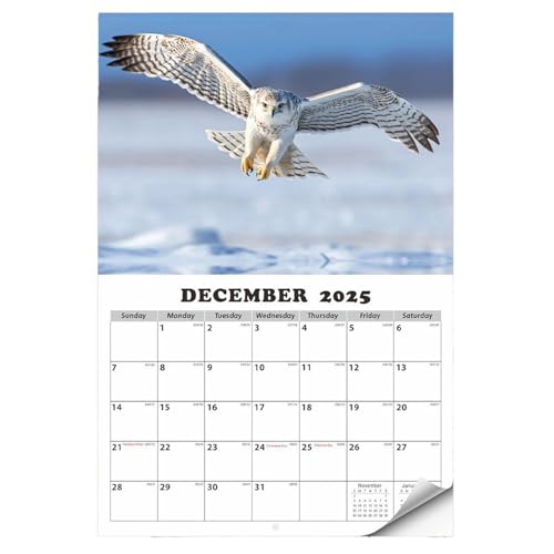 Wandkalender 2025, Wandkalender 2025, Wandkalender von Januar 2025 bis Januar 2026 Monatskalender Eagle Wandkalender | Wandkalender zum Abblättern und Aufhängen mit G-Planer von DNCG