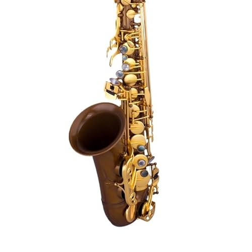 Saxophone Professionnel Saxophon Instrument Professionelle Leistung Alto E-Flat Hanf Gold Hanf Silber Anfänger(Vintage bare copper) von DNJID