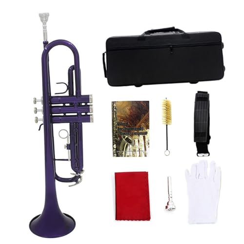 Buntes Trompeteninstrument B-Dreiton-Trompete Für Erwachsene Anfänger Professionelles Instrument(Purple) von DVCSDE