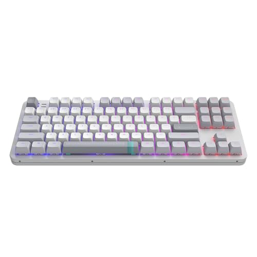 Dark Project Aluminium Daylight (US-Englisch) [ANSI] - Mechanische Gaming-Tastatur, USB-verdrahtet, RGB, G3MS Zircon, Hotswappable, gefettete Stabilisatoren, Semi-Aluminium 80% TKL, Weiß/Grau von Dark Project