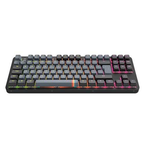 Dark Project Aluminium Midnight (DE) [ISO] - Mechanische Gaming-Tastatur, USB-verdrahtet, mehrsprachige Tastenkappen, RGB, G3MS Zircon, Hotswappable, gefettete Stabilisatoren, Semi-Aluminium 80% TKL, von Dark Project