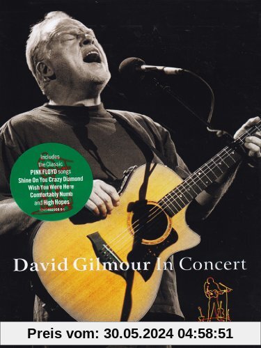 David Gilmour - In Concert von David Mallet