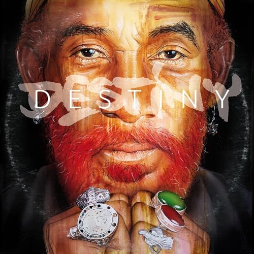 Destiny [Vinyl LP] von DIGGERS FACTORY