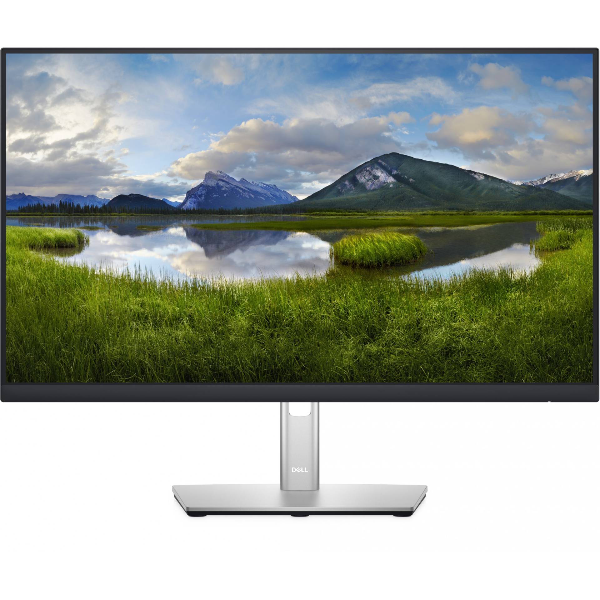 DELL P Series P2422H LED display von Dell