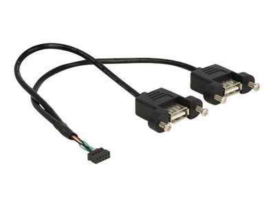 DELOCK USB Kabel Pinheader 10Pin -> 2x A Bu/Bu 0.25m DELOCK USB Kabel Pinheader 10Pin -> 2x A Bu/Bu 0.25m von Delock