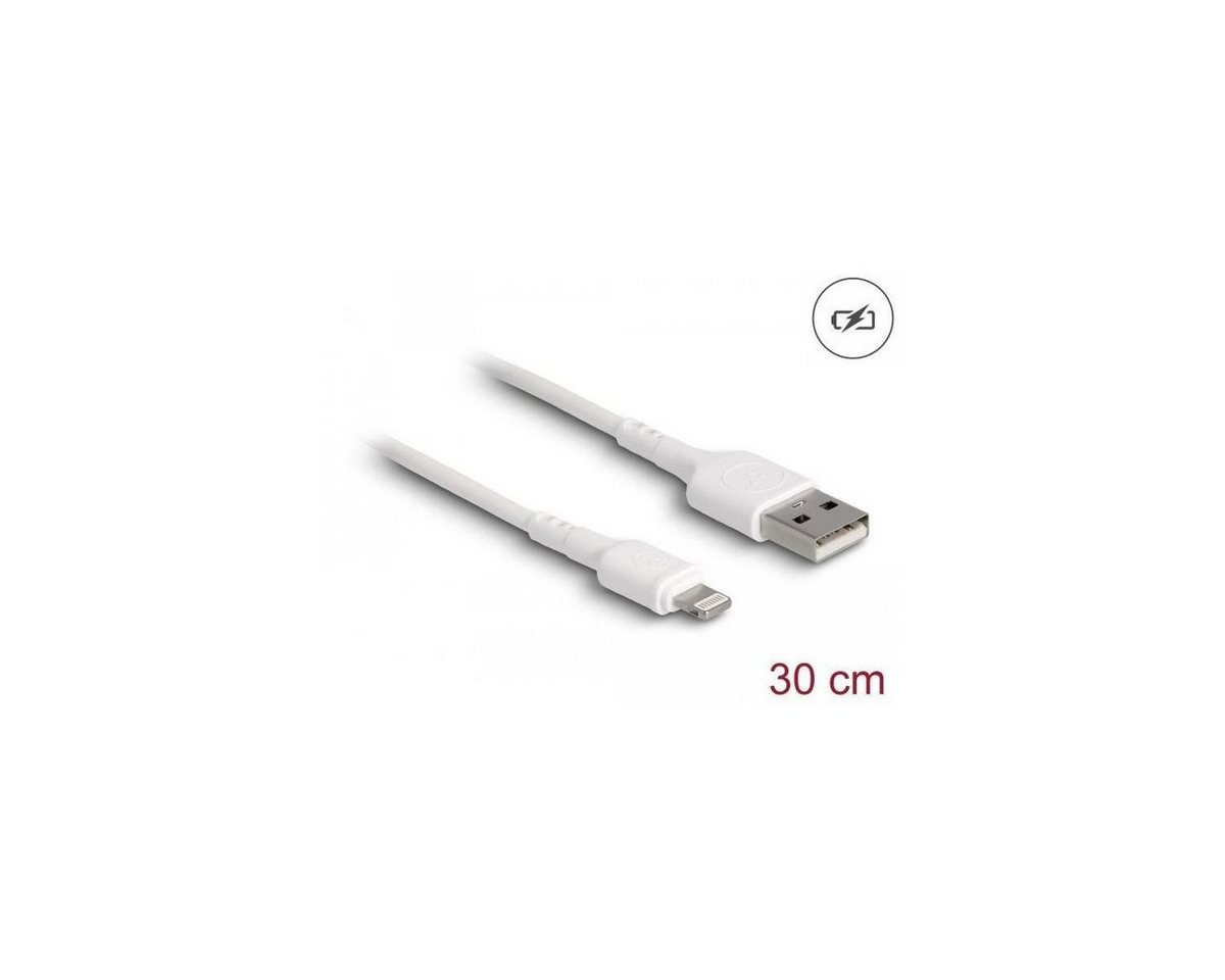 Delock 87866 - USB Ladekabel für iPhone, iPad, iPod weiß 30 cm Computer-Kabel, USB A, USB (30,00 cm) von Delock