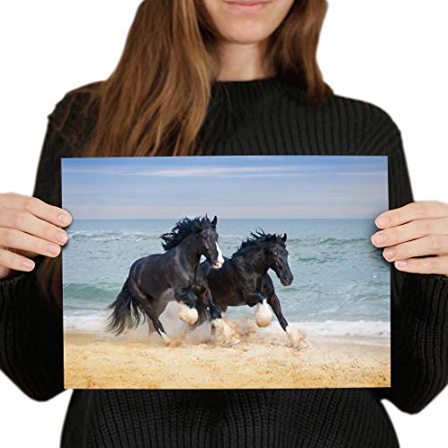 Destination Vinyl-Poster, A4, Motiv: Shire Horses Animal Ocean Kunstdruck, 29,7 x 21 cm, 280 g/m², seidenglänzend, Fotopapier #12681 von Destination Vinyl Ltd