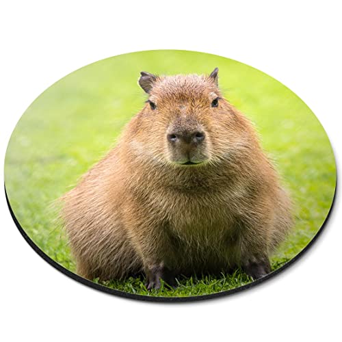 Funny Moody Capybara Tier-Mauspad, flexibel, rund, 5 mm, Gummi, für Büro, Zuhause, bedruckt, Schreibtischzubehör #50976 von Destination Vinyl Ltd