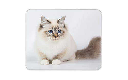 Heilige Birma Katze Mauspad Pad - Kitten Haustier Blaue Augen Nettes Computer-Geschenk # 15565 von Destination Vinyl Ltd