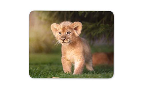 Lion Cub Mauspad Pad - Wild Baby-Tier Afrika Nette Kinder Computer-Geschenk # 15785 von Destination Vinyl Ltd