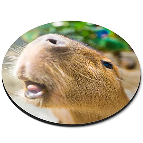 Niedliches Capybara-Mauspad mit großem Nagertier, flexibel, rund, 5 mm, Gummi, für Büro, Zuhause, bedruckt, Schreibtischzubehör #50651 von Destination Vinyl Ltd