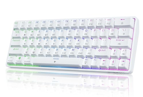 Dierya DK63 Gaming Tastatur,60% Kabellos Mechanische Tastatur mit Bluetooth/2.4G/Typ-C,Compact 63 Tasten Anti-Ghosting,RGB-Hintergrundbeleuchtung,US Layout,Clicky Blue Switch,weiße von Dierya