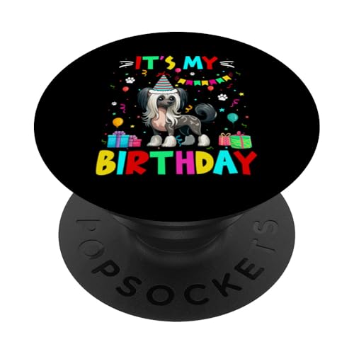 My Birthday Colorful Costume Chinese Crested Dog Funny Party PopSockets mit austauschbarem PopGrip von Dog Birthday Costume