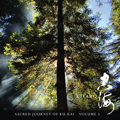 Sacred Journey of Ku-Kai Vol.5 von Domo