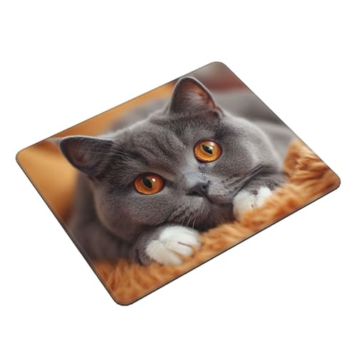 Gaming Mauspad Katze Mauspad XXL 270x210mm XXL Mousepad Niedlich Mauspad Gaming Zubehör mit Anti Rutsch Basis Mouse Pad Wasserdicht und Langlebig für Maus und Tastatur, Home Decor, Geschenk Frauen von Dozsconz