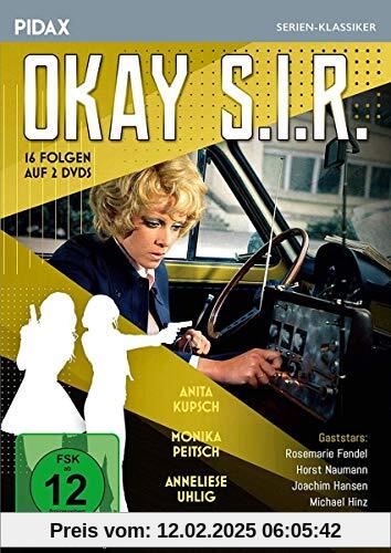 Okay S.I.R., Vol. 1 / 16 Folgen der beliebten Krimi-Serie (Pidax Serien-Klassiker) [2 DVDs] von Dr. Michael Braun