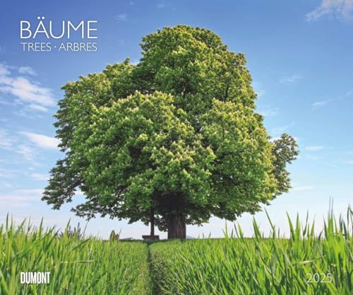 Bäume - Kalender 2025 - DUMONT-Verlag - Fotokunst-Kalender - Wandkalender - 60 cm x 50 cm Bäume - Kalender 2025 - DUMONT-Verlag - Fotokunst-Kalender - Wandkalender - 60 cm x 50 cm von Dumont Kalenderverlag