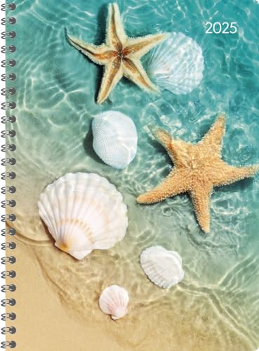 Ladytimer Ringbuch Beach - Taschenkalender A5 - Kalender 2025 - Alpha Edition-Verlag - Eine Woche auf 2 Seiten - Buchplaner mit Platz für Notizen - Format 15 cm x 21 cm Ladytimer Ringbuch Beach - Taschenkalender A5 - Kalender 2025 - Alpha Edition-Verlag - Eine Woche auf 2 Seiten - Buchplaner mit Platz für Notizen - Format 15 cm x 21 cm von Dumont Kalenderverlag
