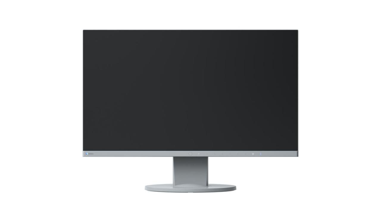 EIZO FlexScan EV2450-GY LED-Monitor 60 cm 23,8 Zoll lichtgrau von EIZO