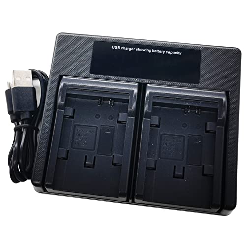 USB Dual Akku Ladegerät für Canon BP-828 BP828 BP-827 BP-820 BP-808 BP-819 HF XA75 XA70 XA65 XA60 XA25 XA20 VIXIA HF G70 G60 G50 G40 G30 G30 10 Kamera von EMOVERY