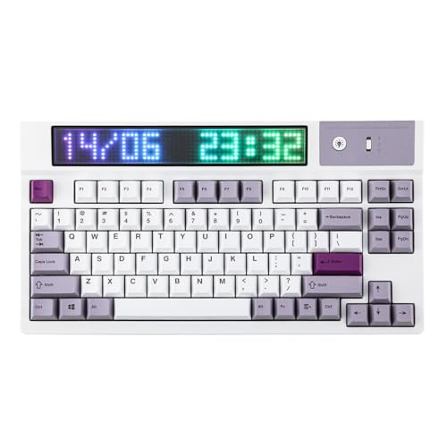EPOMAKER DynaTab 75X Mechanische Tastatur mit RGB Matrix Display. Bluetooth/2,4 GHz/USB-C Tastatur Gaming in Gasket, mit Hot-Swap, 10.000mAh, 2A Schnellladung (Lila, Sea Salt Silent) von EPOMAKER