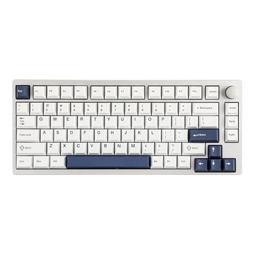 EPOMAKER P75 Kabellose Mechanische Tastatur Aluminium, Bluetooth 5.0/2,4 GHz/USB-C Hot-Swap-fähige Tastatur RGB, Thocky Tastatur Gasket für PC/Tablet/PS/Xbox (Silber Weiß, Wisteria Tactile Switch) von EPOMAKER