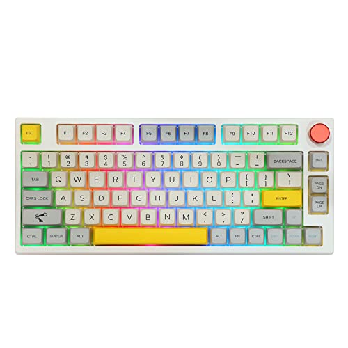 EPOMAKER TH80 Pro Mechanische Gaming-Tastatur,2,4 GHz/Bluetooth,75% Hotswap mit RGB PBT-Tastenkappen für WIN/MAC/PS4/PS5/Xbox (Theory, Gateron Pro Brown) von EPOMAKER