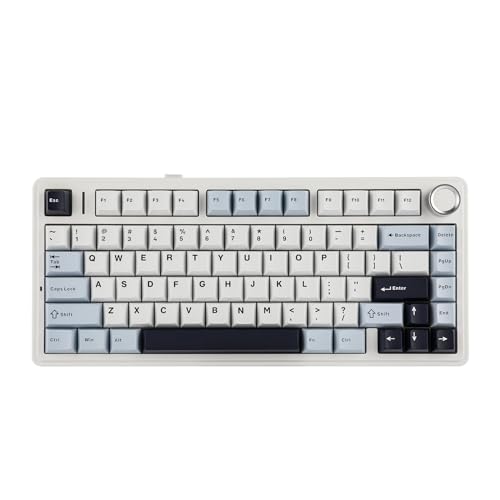 EPOMAKER x Aula F75 Gasket Mechanische Tastatur, 75% Hot swap-fühige Gaming-Tastatur mit Fünf-Schicht-Polsterung&Knopf, Bluetooth/Wireless/USB-C, RGB (Light Blue, Crescent Switch) von EPOMAKER