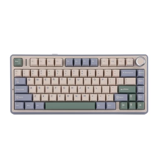 EPOMAKER x Aula F75 Gasket Mechanische Tastatur, 75% Hot swap-fähige Gaming-Tastatur mit Fünf-Schicht-Polsterung&Knopf, Bluetooth/Wireless/USB-C, RGB (groen, Graywood V3 Switch) von EPOMAKER