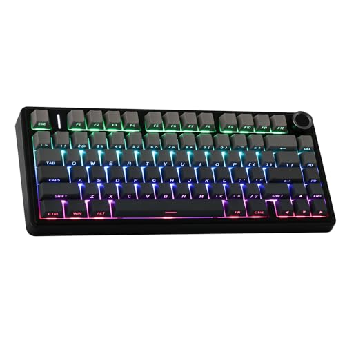 EPOMAKER x Aula F75 Gasket Mechanische Tastatur, 75% Hot swap-fühige Gaming-Tastatur mit Fünf-Schicht-Polsterung&Knopf, Bluetooth/Wireless/USB-C, RGB (Black Ombre, LEOBOG Reaper Switch) von EPOMAKER