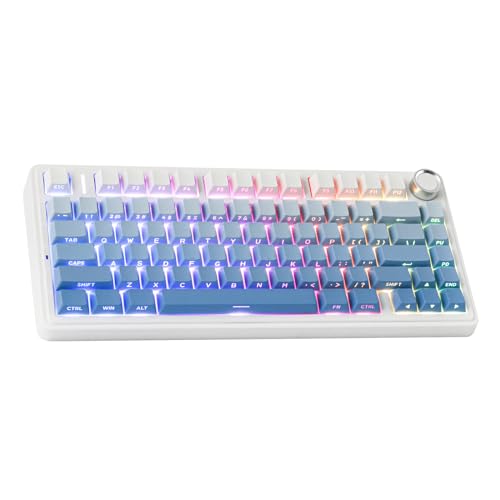 EPOMAKER x Aula F75 Gasket Mechanische Tastatur, 75% Hot swap-fühige Gaming-Tastatur mit Fünf-Schicht-Polsterung&Knopf, Bluetooth/Wireless/USB-C, RGB (Blue Ombre, LEOBOG Reaper Switch) von EPOMAKER