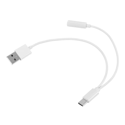 ETHZZLE USB C Auf Doppel AUX Audio Adapter Type C Kopfhörer Splitter Für Audioausgänge Zufällige Farben Hochwertiger Audioanschluss Für Smartphones Und Tablets von ETHZZLE